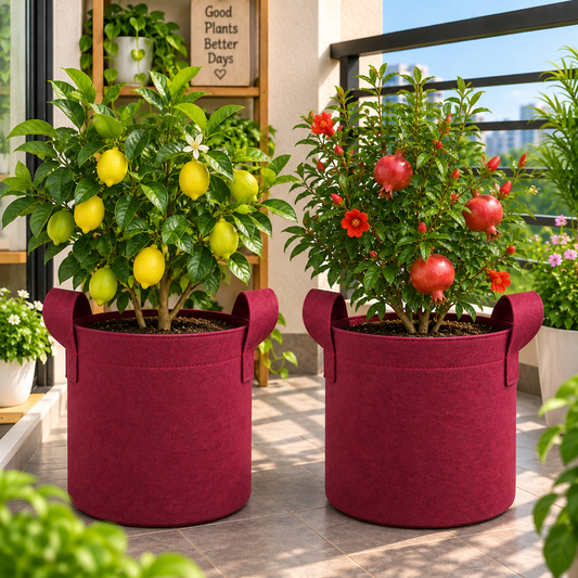 Plant Grow Bag | Heavy-Duty Breathable Fabric Plant Pot for Vegetables, Flowers, Herbs & Terrace Gardening (Color-Maroon)