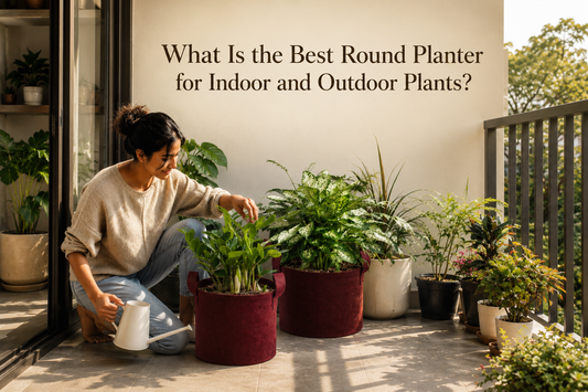  modern round planter for indoor plants