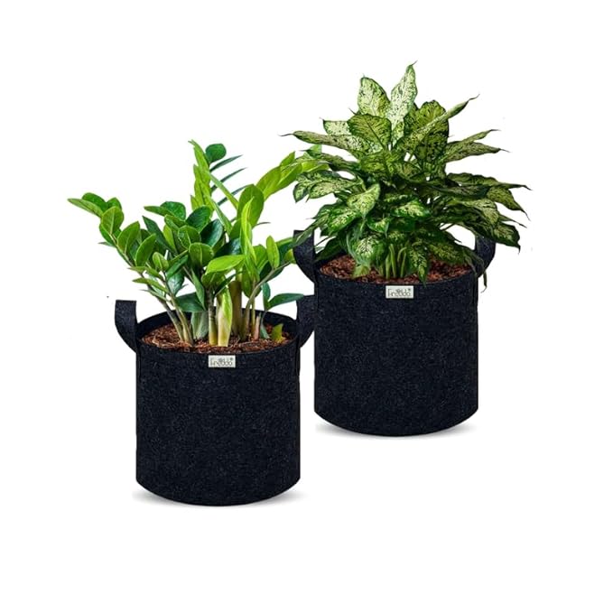 Two potted plants in black fabric pots on a white background
