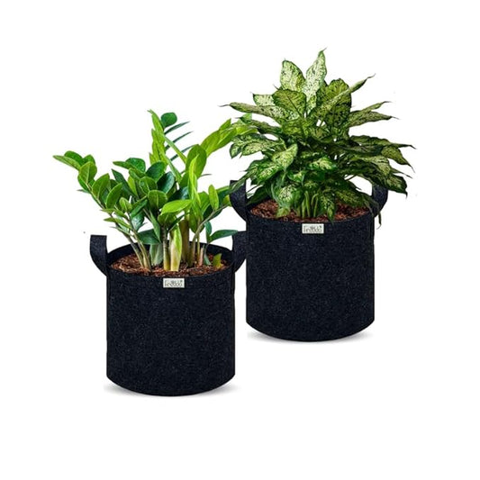 Two potted plants in black fabric pots on a white background