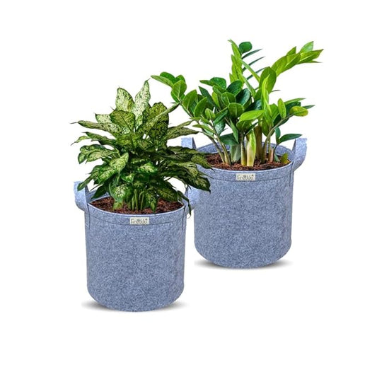 Two plants in blue fabric pots on a white background