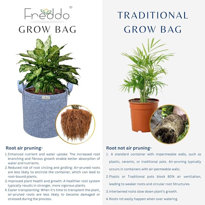 Comparison of Freddo grow bag with traditional grow bags showing plants and root systems.