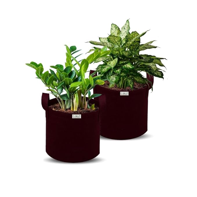 Two potted plants in brown fabric pots on a white background