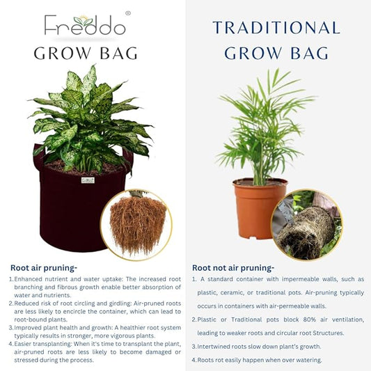 Comparison of Freddo grow bag and traditional grow bag with plants and root systems.